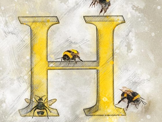 H | Hummel