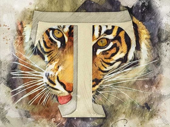 T | Tiger